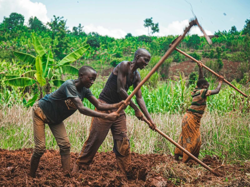african family farming