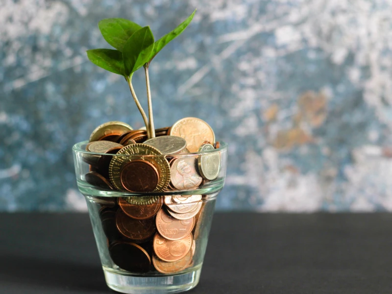 coins in a glass with a seedling
