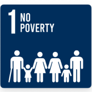 no poverty logo