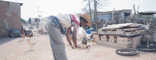 man feeding chickens in the backyard