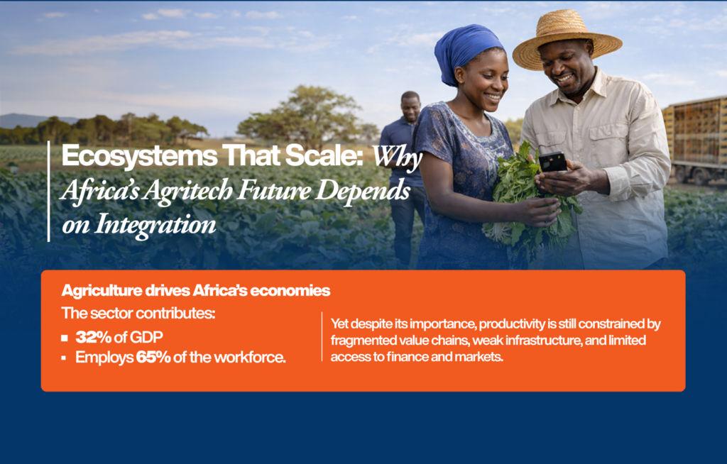 African farmers using a smartphone in a vegetable field representing agritech innovation and digital ecosystem integration for smallholder farmers across Africa.
